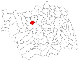 Location in Bacău County