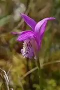 Waterloo State Recreation Area, Michigan