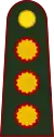 General de división(Argentine Army)