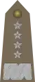 Generał (Polish Army)