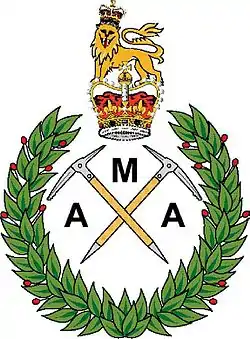 Army Mountaineering Association – colour