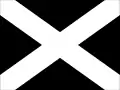 Auto racing disqualification flag