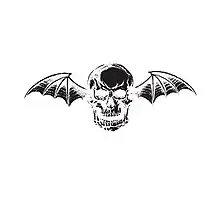 A human skull with bat wings protruding out of its ears on top of a white background.