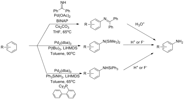 Ammonia equivalents in the Buchwald–Hartwig amination