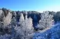 Image 11Winter in the countryside of Lithuania