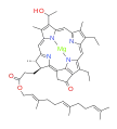 bacteriochlorophyll d