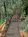 Trail along the slope of the falls at Huilo-Huilo