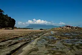 A mudflat receding into the sea in the distance, with a cloud-topped mountain beyond