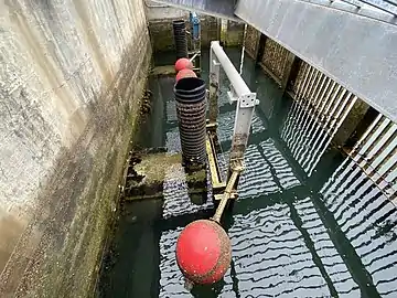 Tide gate releases water into Ballona Wetlands