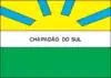 Flag of Chapadão do Sul