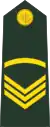 Sergeant(Bengali: সার্জেন্ট, romanized: Sārjēnṭa)(Bangladesh Army)