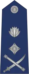 IGP Rank Badge