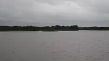 Body of water with a forest in the background