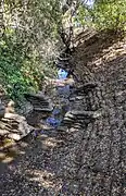 Barron Creek leaving its tunnel across Gunn High School, flowing into the open natural channel portion in Barron Park, Palo Alto