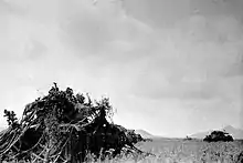 Soviet tanks under netting dressed with vegetation, 1938