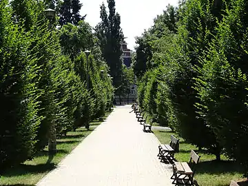 View of a walkway