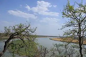 Betwa in the Ashoknagar District of Madhya Pradesh