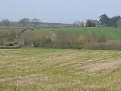 A few buildings scattered amongst fields and trees.