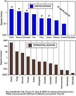 Image 97Ocean or marine biomass, in a reversal of terrestrial biomass, can increase at higher trophic levels. (from Marine food web)