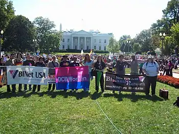 Bisexual activists at the 2009 National Equality March