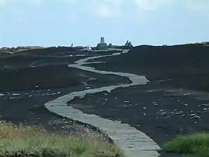  Photograph of a stone path laid across boggy ground