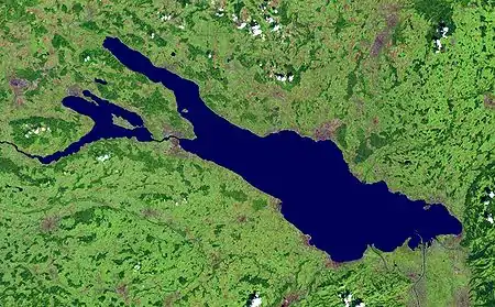 Satellite image