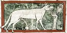 Image 75As is usual in bestiaries, the lynx in this late 13th-century English manuscript is shown urinating, the urine turning to the mythical stone Lyngurium (from List of mythological objects)