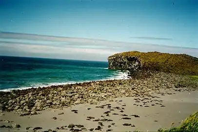 A fur seal colony on Bogoslof Island