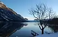 Lake Bohinj