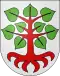 Coat of arms of Bollodingen