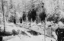 Booth lumber camp, Aylen Lake, Ontario, c. 1895