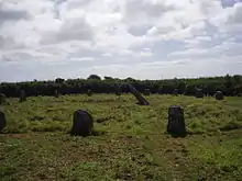 Image 19Boscawen-Un stone circle looking north (from History of Cornwall)