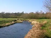 The Annick Water from Bourtreehill.