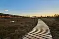 Boardwalk at sunset