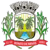 Official seal of Bonito de Minas