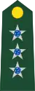 CapitãoBrazilian Army