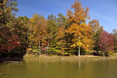  Lake shore view with orange, red, yellow, and green-leaved trees.