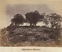 Cemetery on a hill with trees