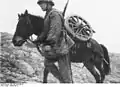 Germany army pack transport of gun wheels, 1942