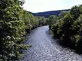 The river Wupper in the woods of Wuppertal