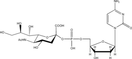 CMP-NeuNAc