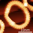 A macrocycle of 40 porphyrin molecules, STM image