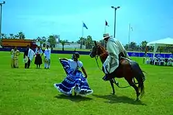 Paso Peruvian horse dancing marinera