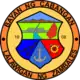 Official seal of Cabangan