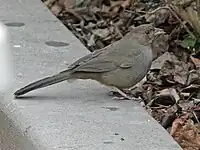 In San Diego, California