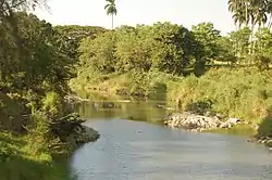 Picture of the Camajuaní River in Tarafa, in Camajuaní II