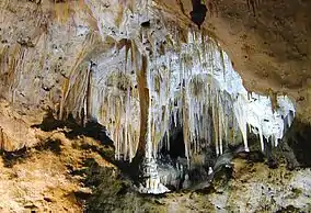 Image 36Carlsbad Caverns National Park (from New Mexico)