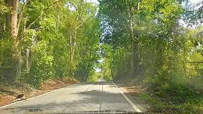 Puerto Rico Highway 119 south in Aibonito, San Sebastián