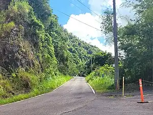 Heading west between Collores and Damián Abajo barrios, Orocovis