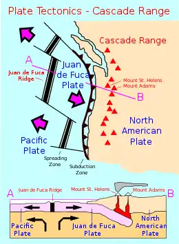 Map showing black vertical bars set in a blue field with their ends connected by thin lines. A contoured line with sharp bumps point toward a nearby coastline. In between is the label "Juan de Fuca Plate".